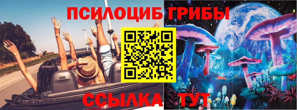 Галлюциногенные грибы мицелий Кунгур